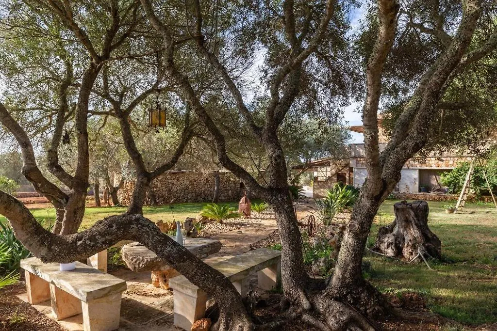 Finca Rural S'Art 9 Ses Salines  Ses Salines (Mallorca)